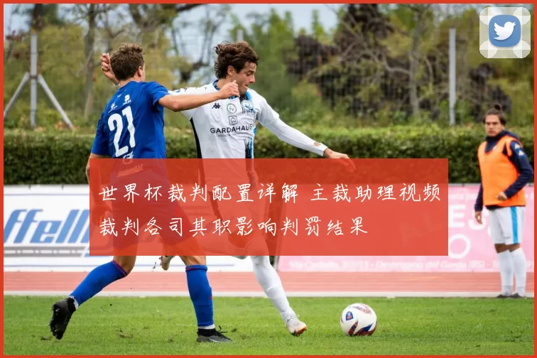 世界杯裁判配置详解 主裁助理视频裁判各司其职影响判罚结果